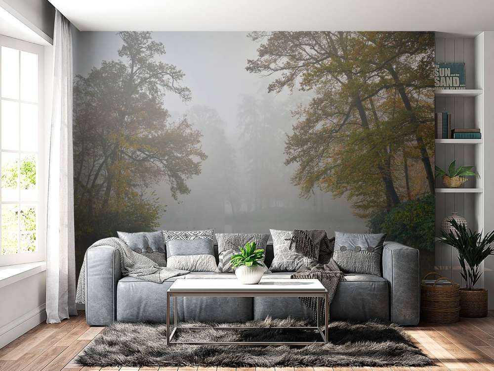 Étang de forêt dans la brume