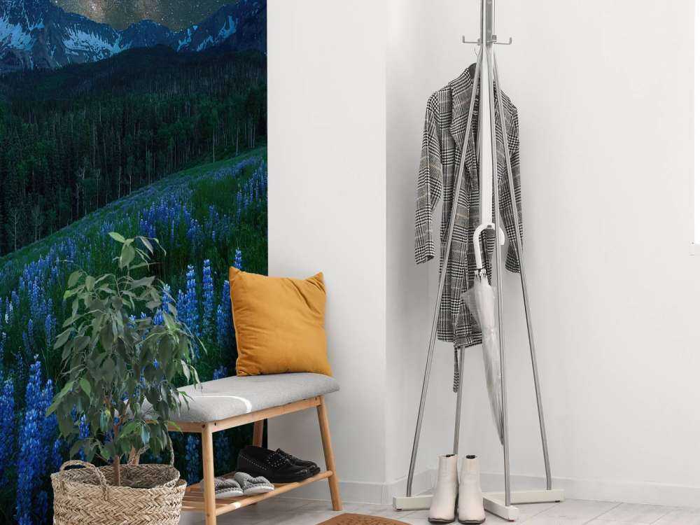 Milky Way over Lupine Slope