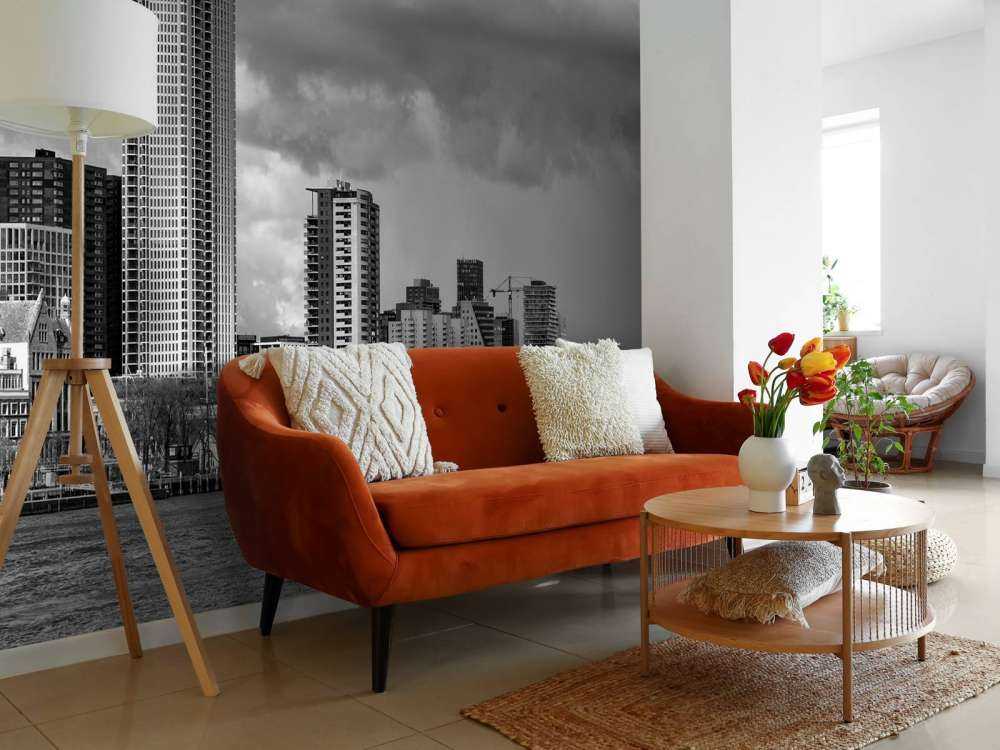 Skyline Rotterdam (Westerkade) depuis Katendrecht (noir et blanc) 