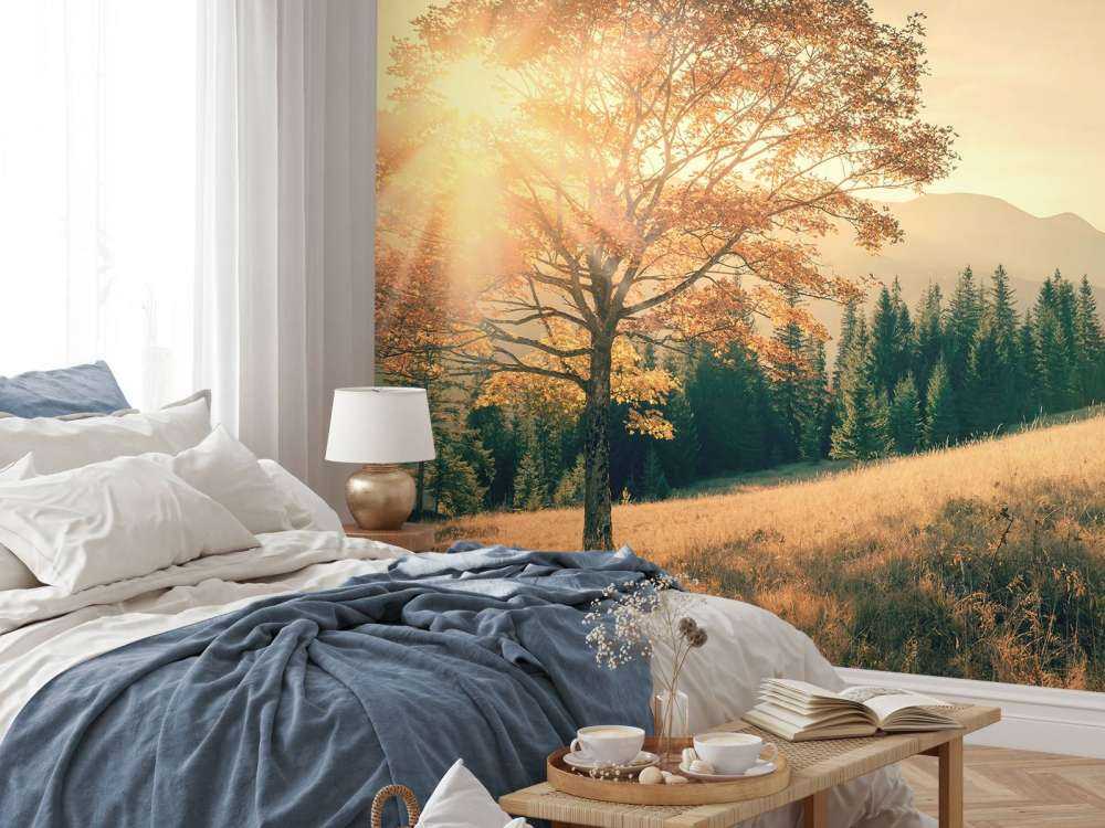 Coucher de soleil dans une vallée