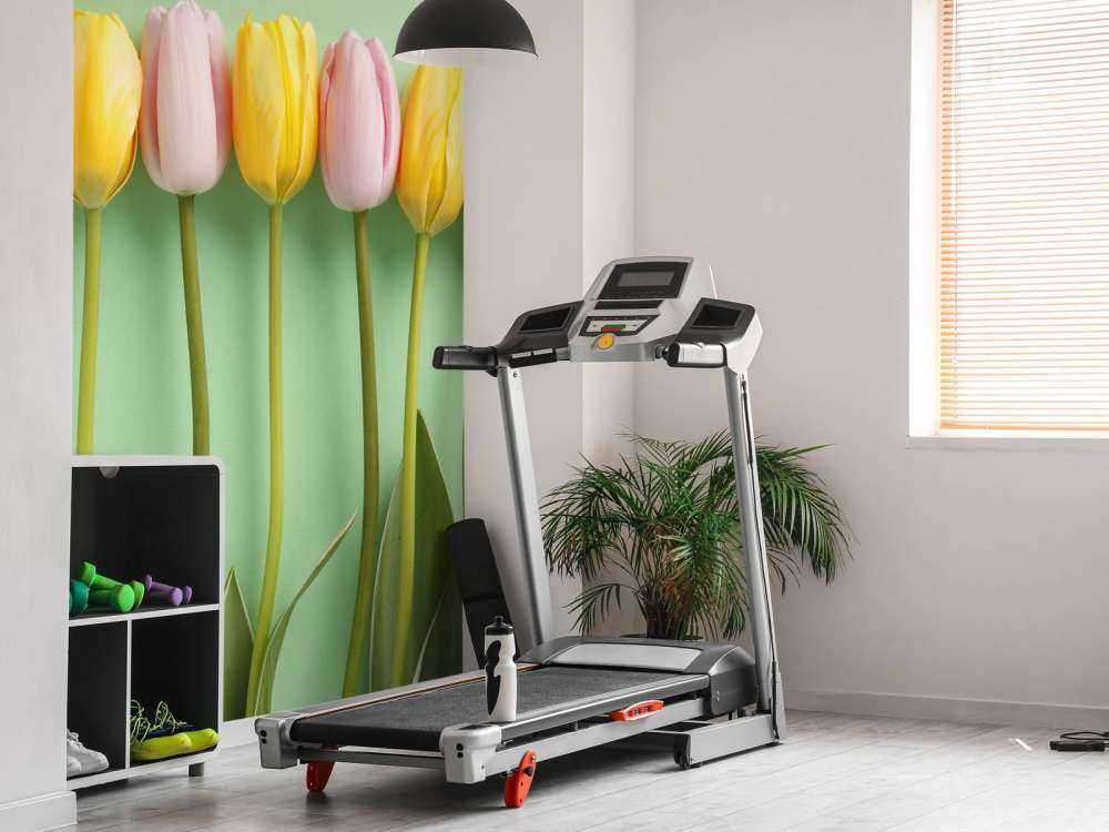 Tulipes sur fond vert menthe