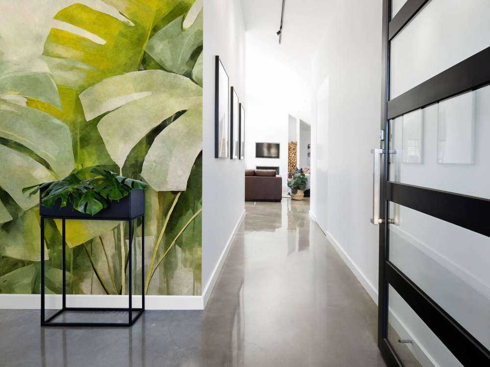 Lush green monstrea jungle vibes
