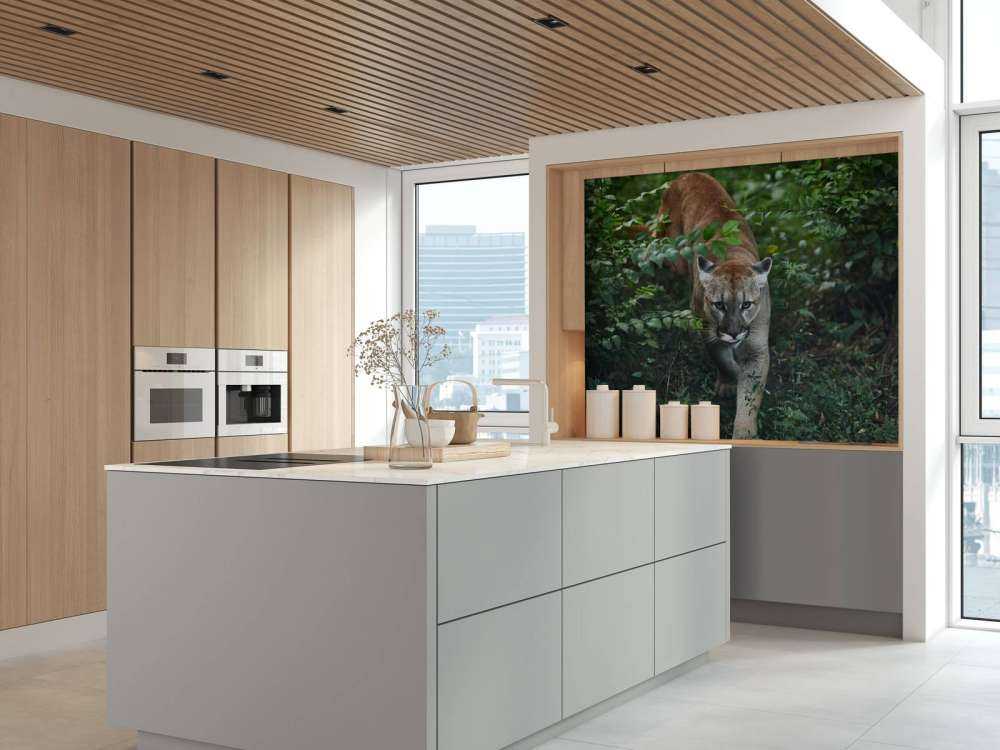 Lion des montagnes qui se faufile