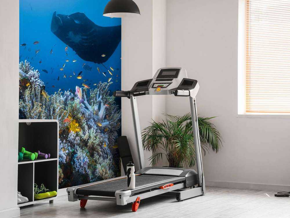 Manta reef on the reef