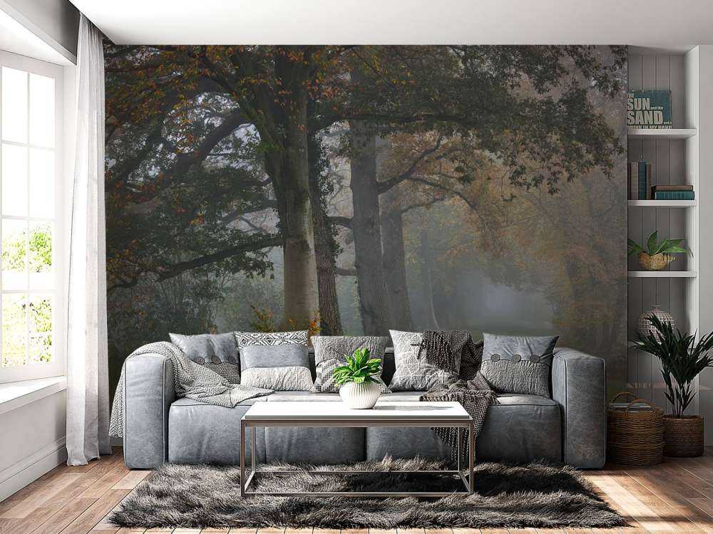 Allée avec des arbres dans le brouillard