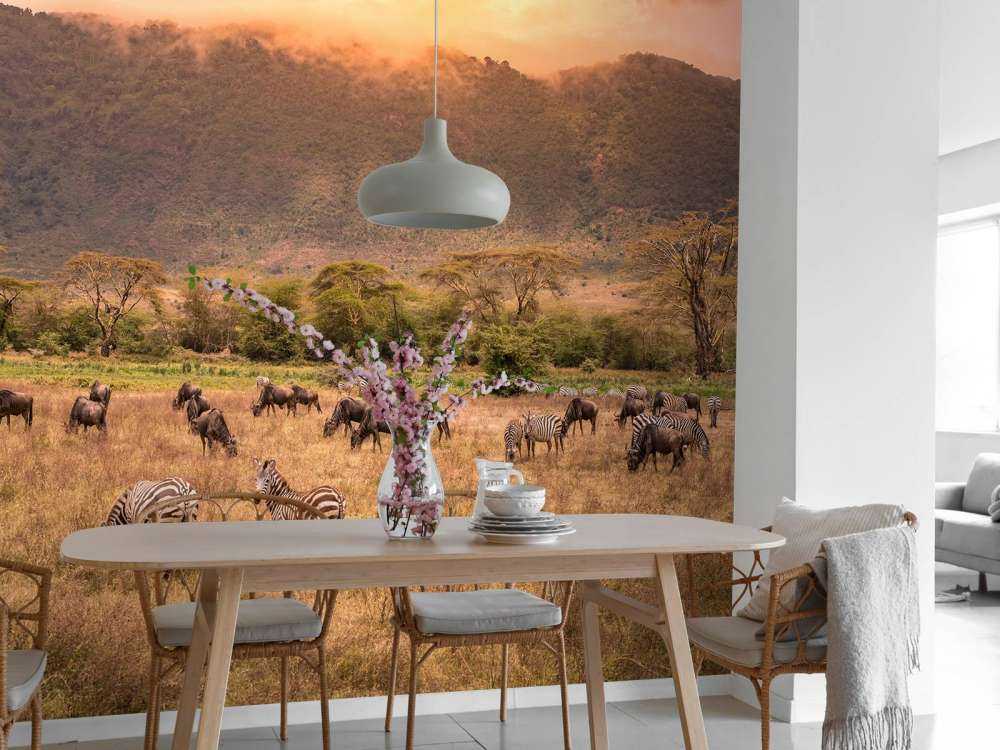 Paysage de savane avec des zèbres