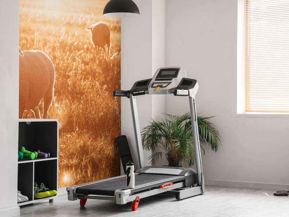 Moutons dans un beau pâturage