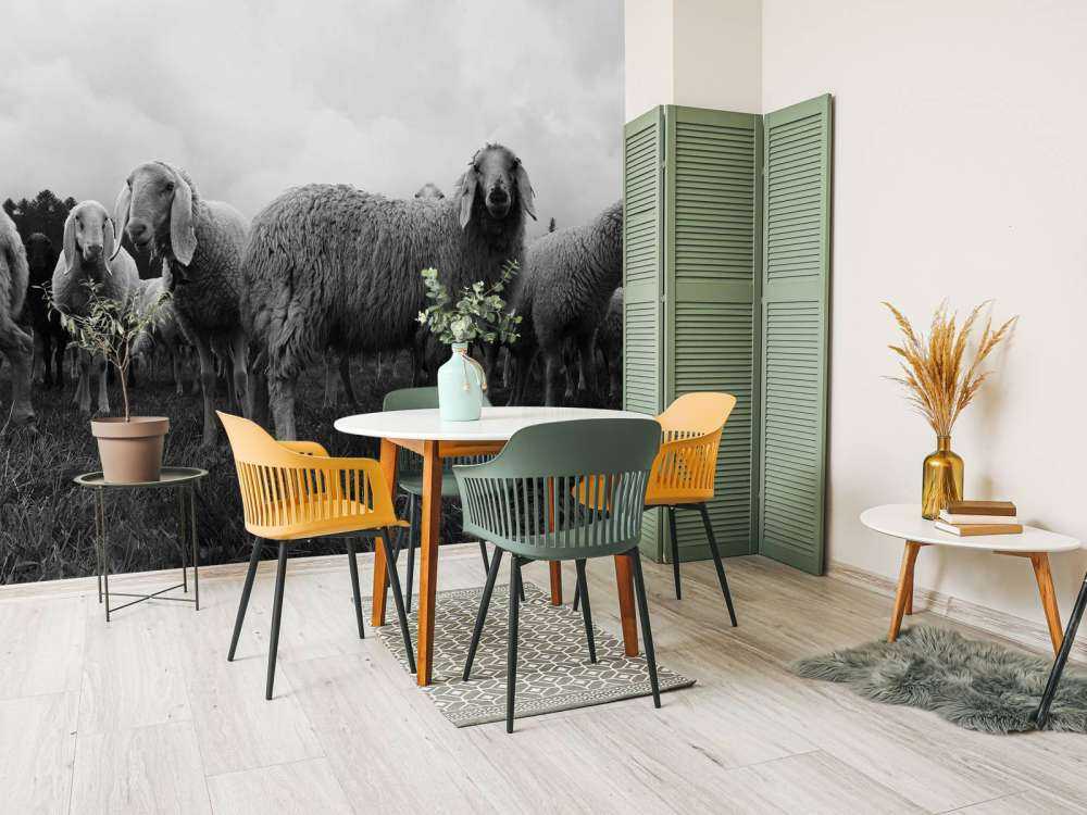 Troupeau de moutons en noir et blanc