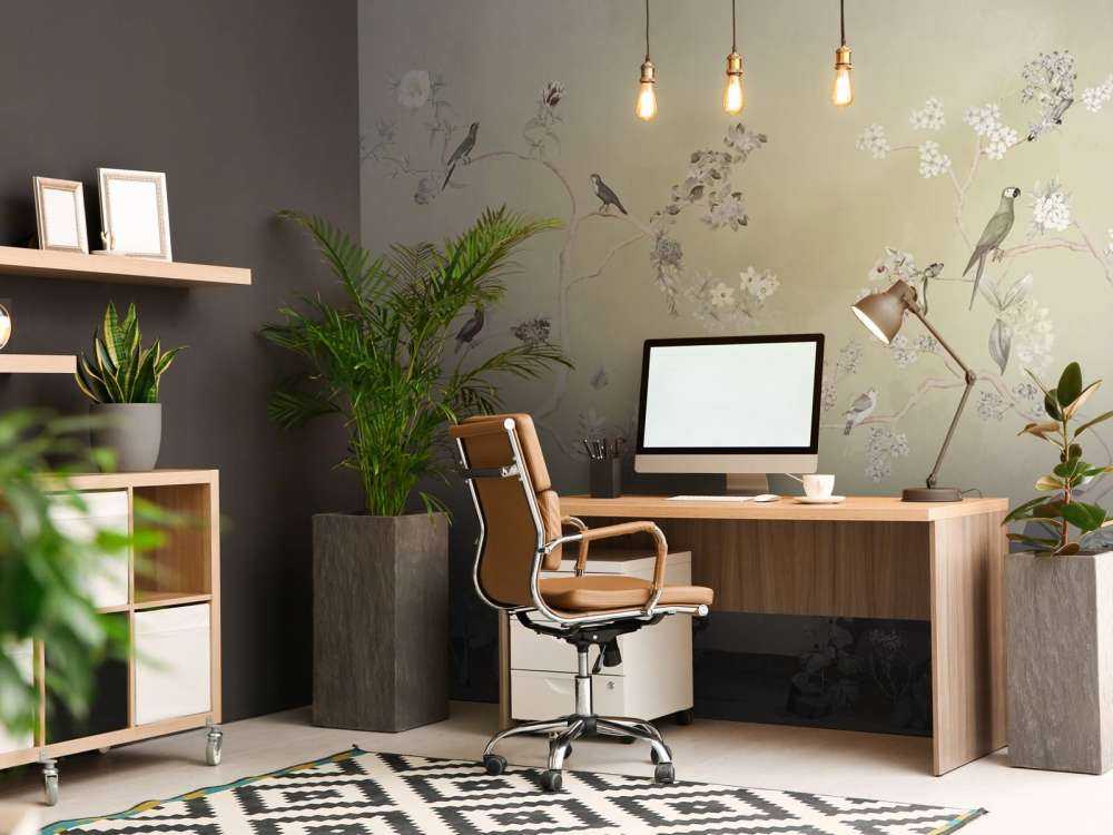 Birds in Garden Panorama 11