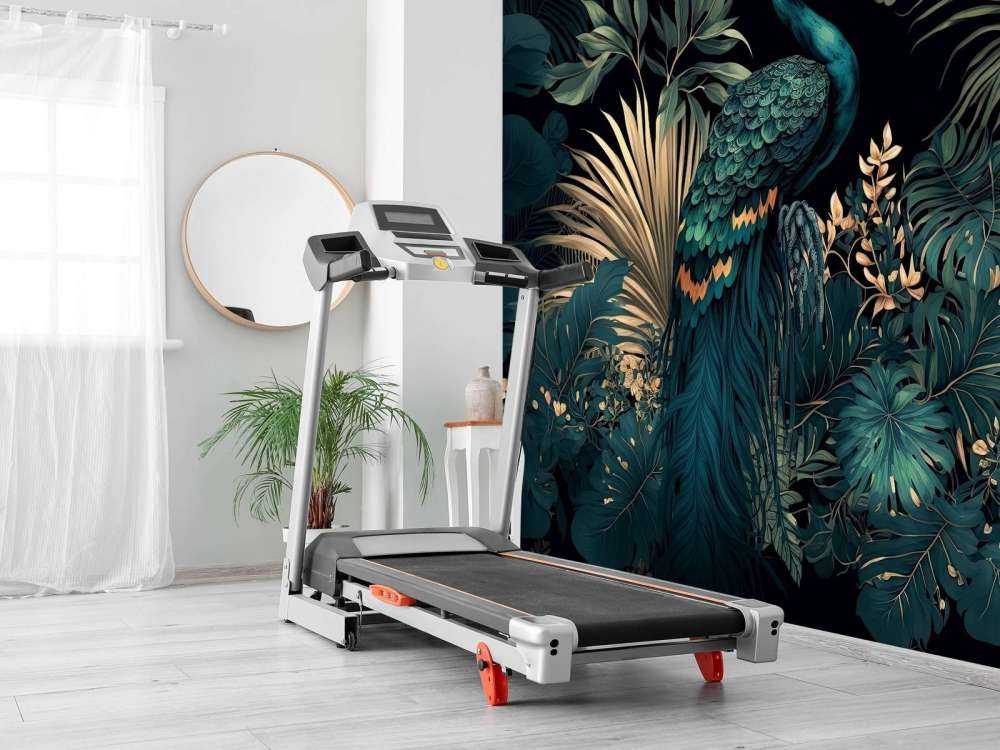 Beauté Nocturne du Paon