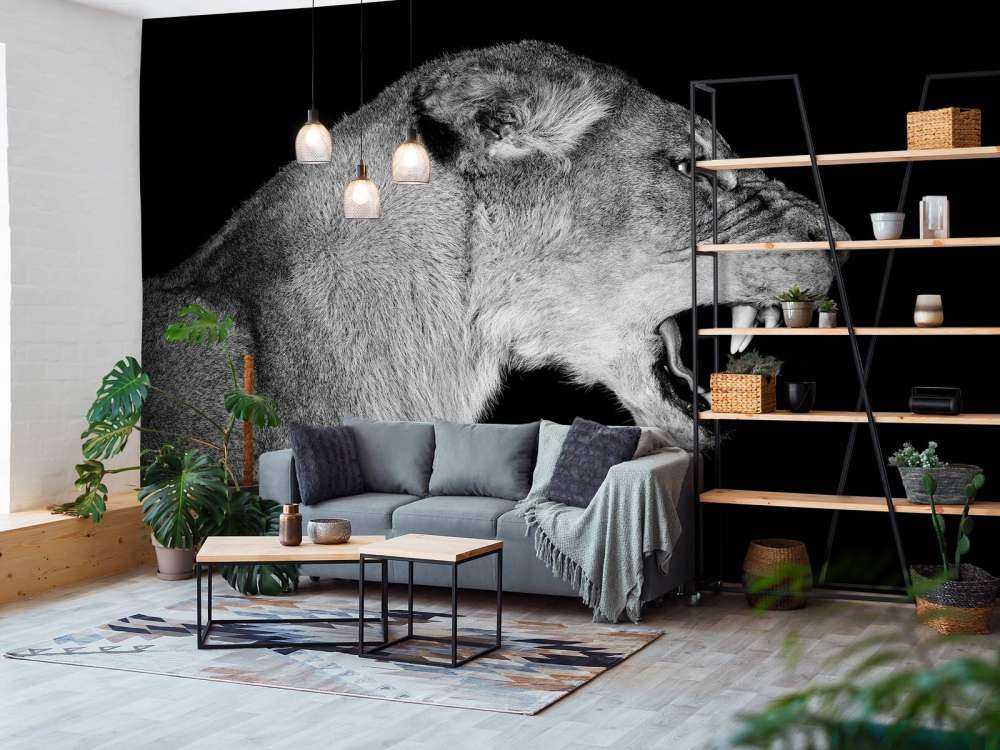 Lionne vue de côté noir