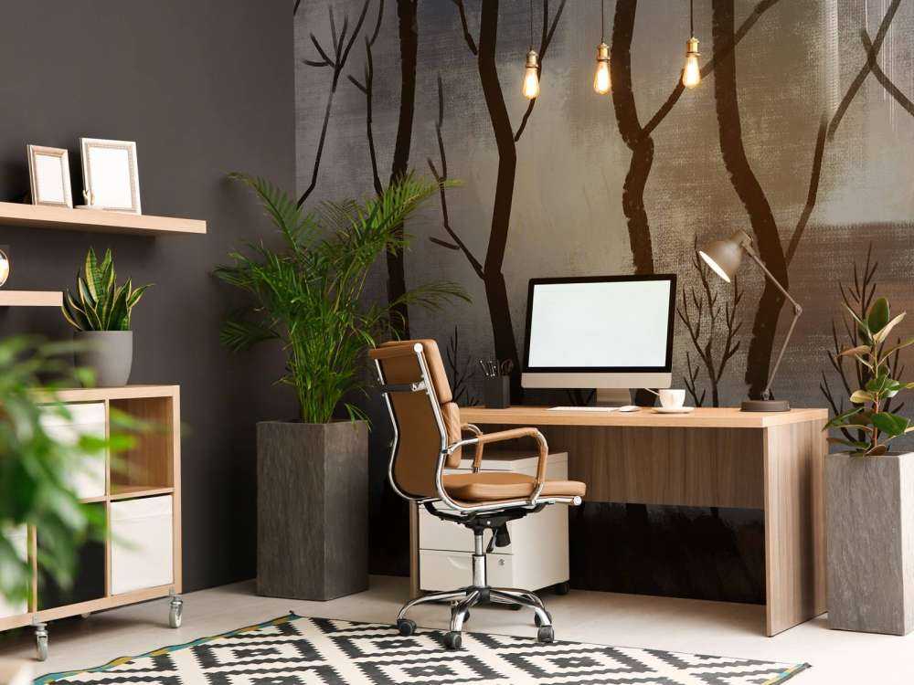 Crépuscule Silence Forêt de cerfs