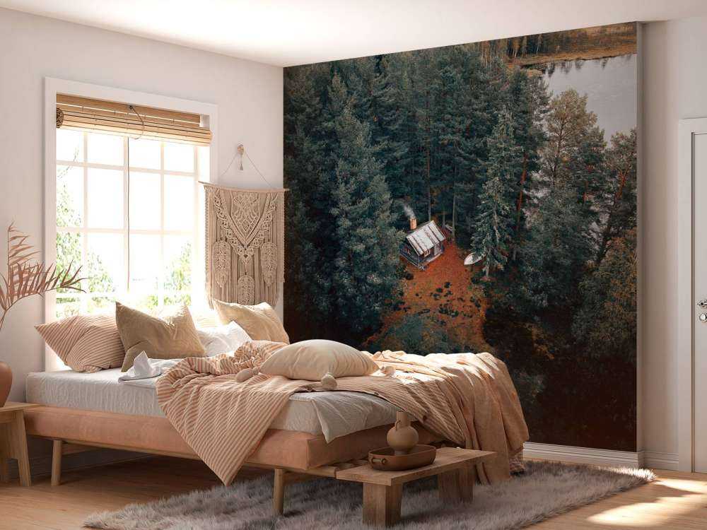 Cabane entourée de forêts et de lacs