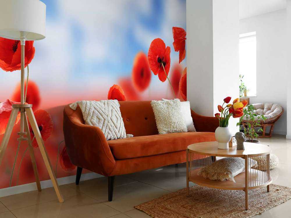 Ciel bleu et coquelicots rouges