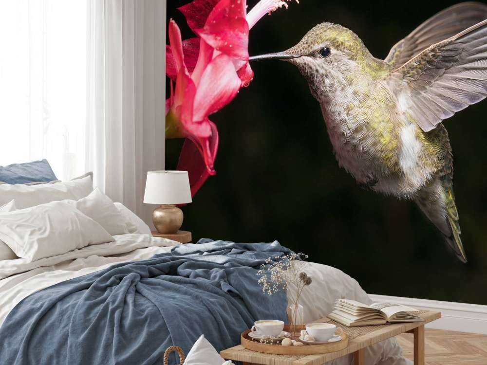Colibri avec une fleur rouge