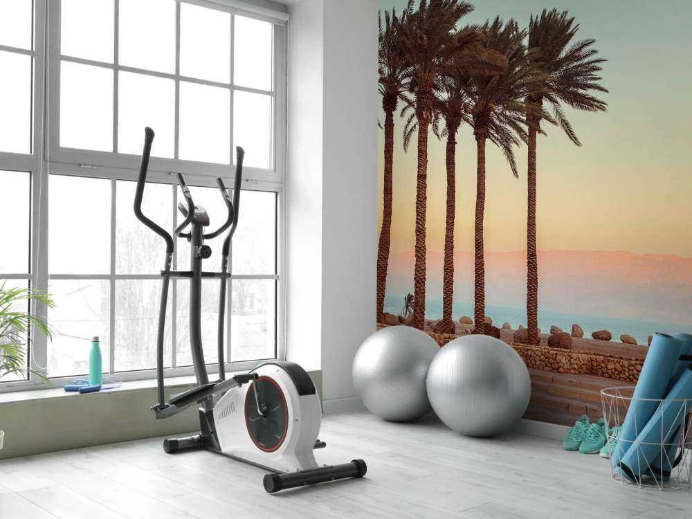 Palmiers au coucher du soleil