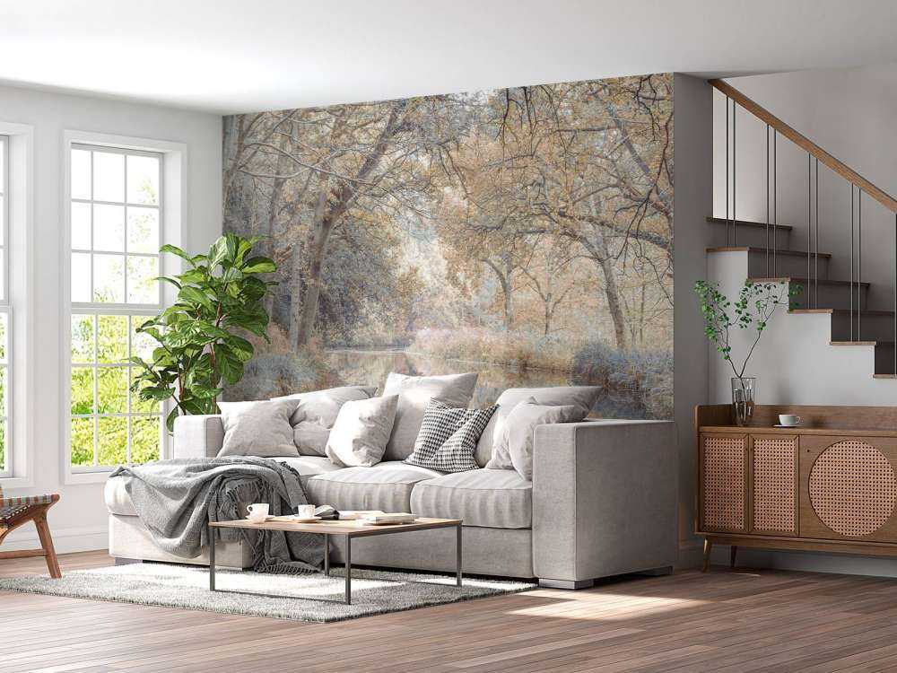 Rivière dans les bois