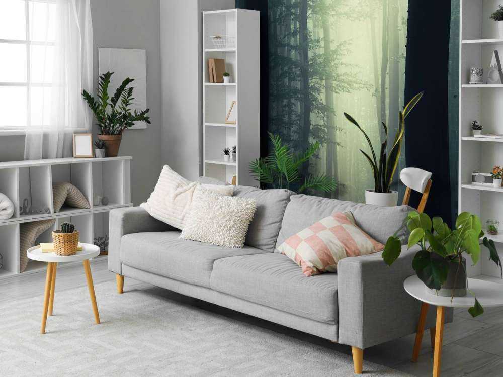 Rayon de soleil dans la forêt