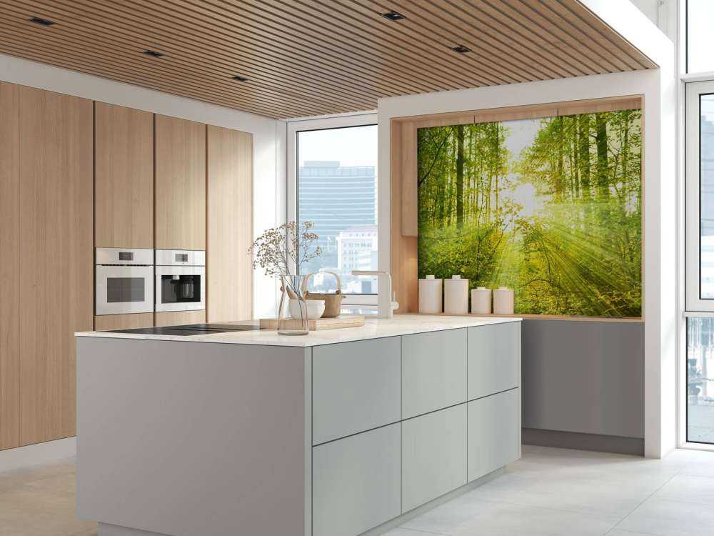 Soleil dans une forêt verdoyante