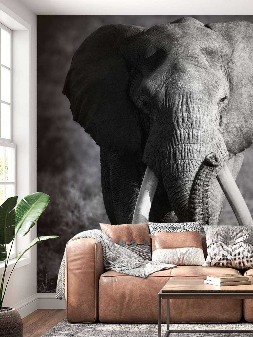 éléphant d'Afrique