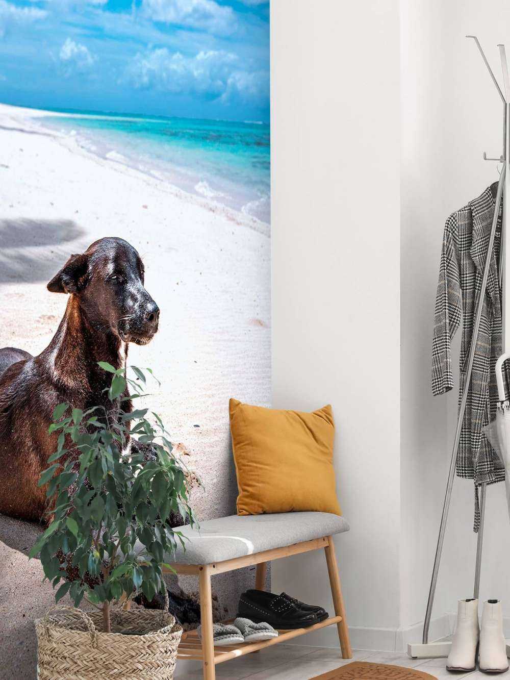 Chien noir sur une plage tropicale.