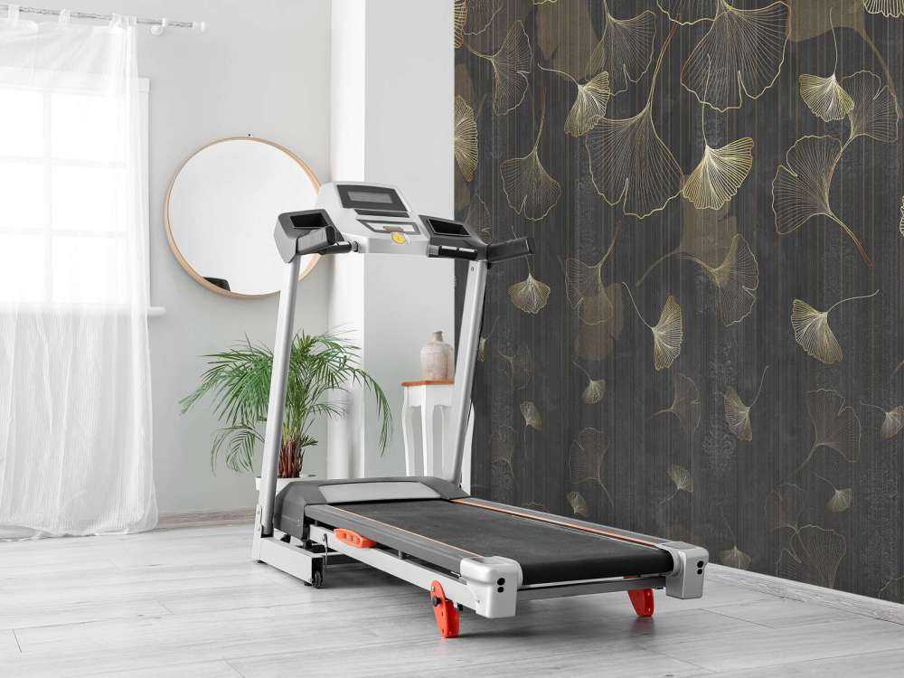 Feuilles de ginkgo dans une brume dorée