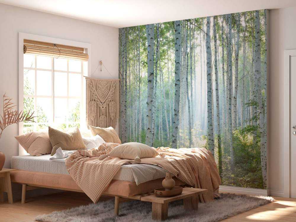 Berkenbos dans la lumière du matin