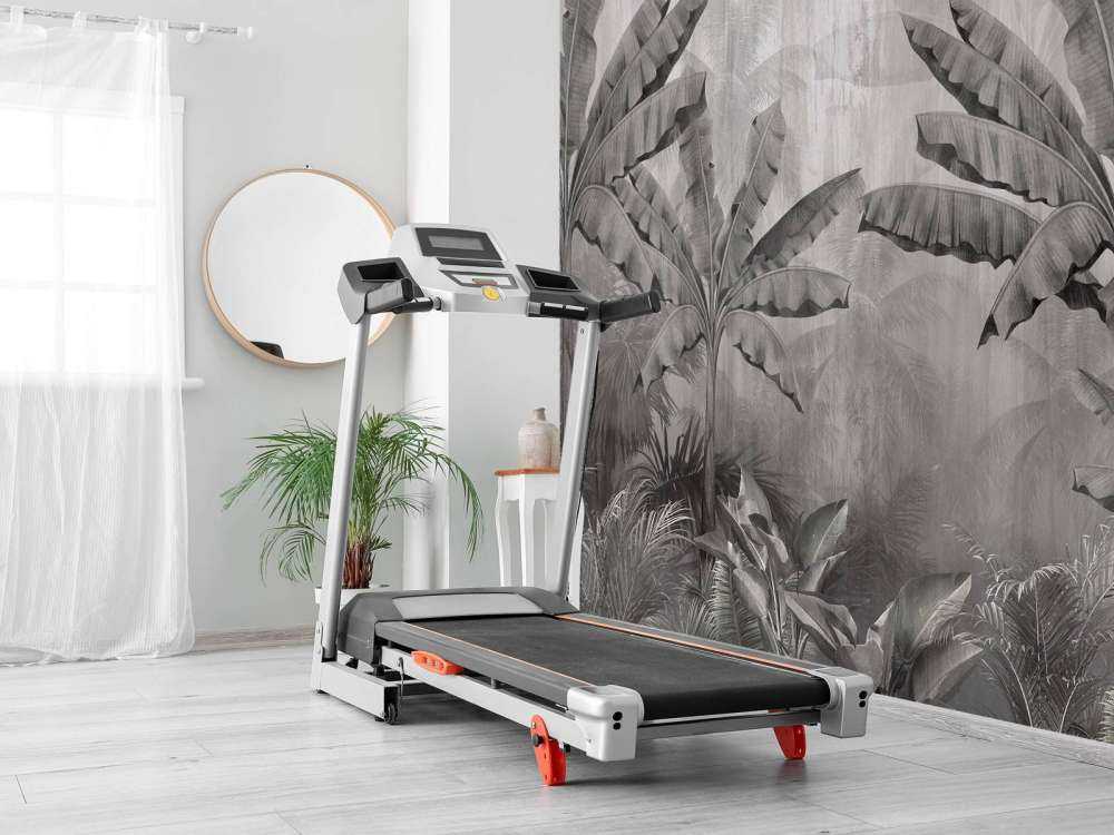 Palmiers de brouillard tropicaux