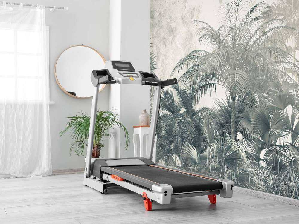 Forêt tropicale mystique