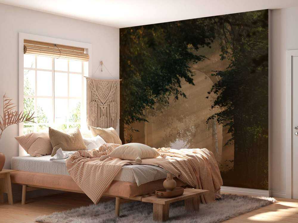 Lumière dorée dans la forêt