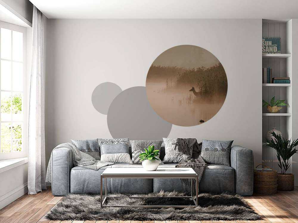 Ree dans la brume du matin