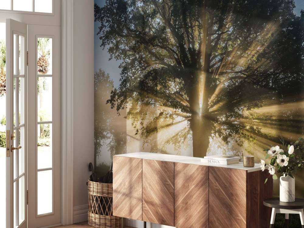 Rayons de soleil à travers le Vieux Chêne