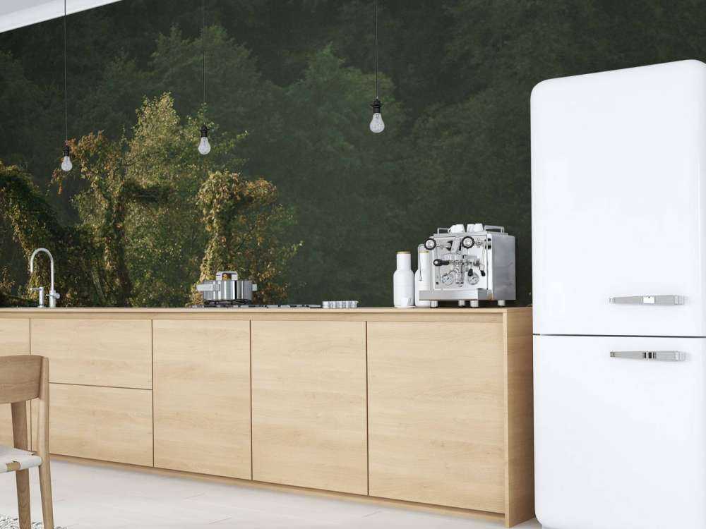 Chevaux dans la Forêt Enchantée