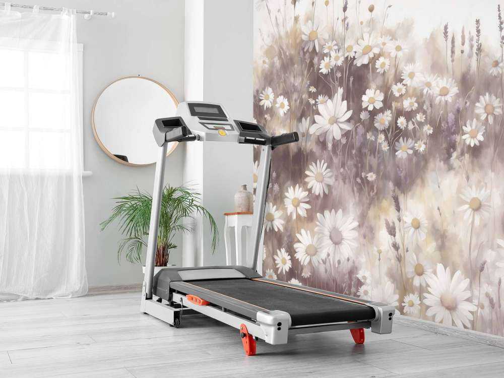 Prairie de Marguerites Silencieuses Rose