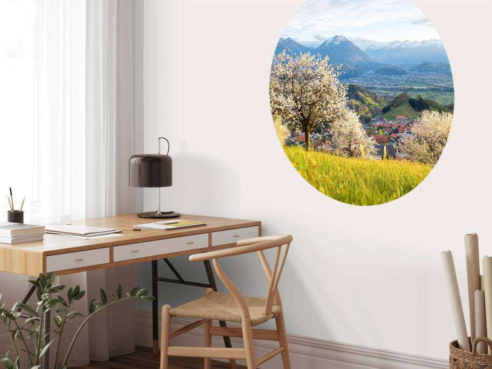 Collines de fleurs avec vue sur les Alpes.