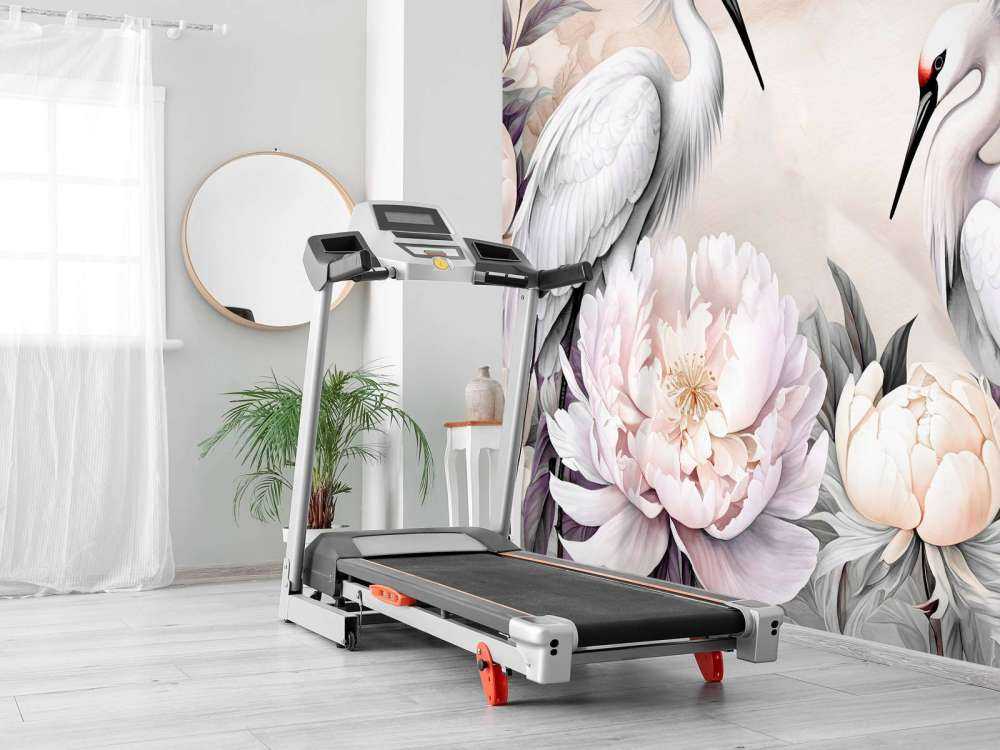 Cigognes Romance Rose