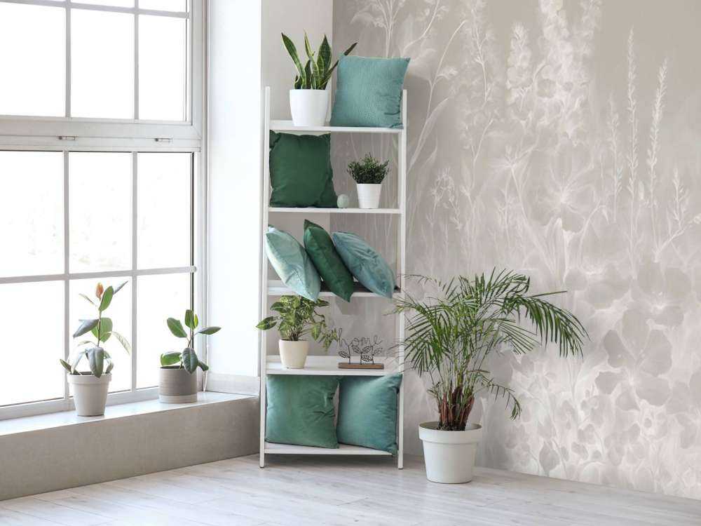 Jardin anglais tendre - olive