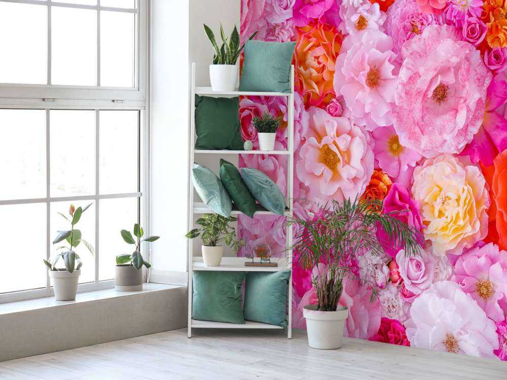 Plein cadre de variété de roses de jardin, fond de fleurs