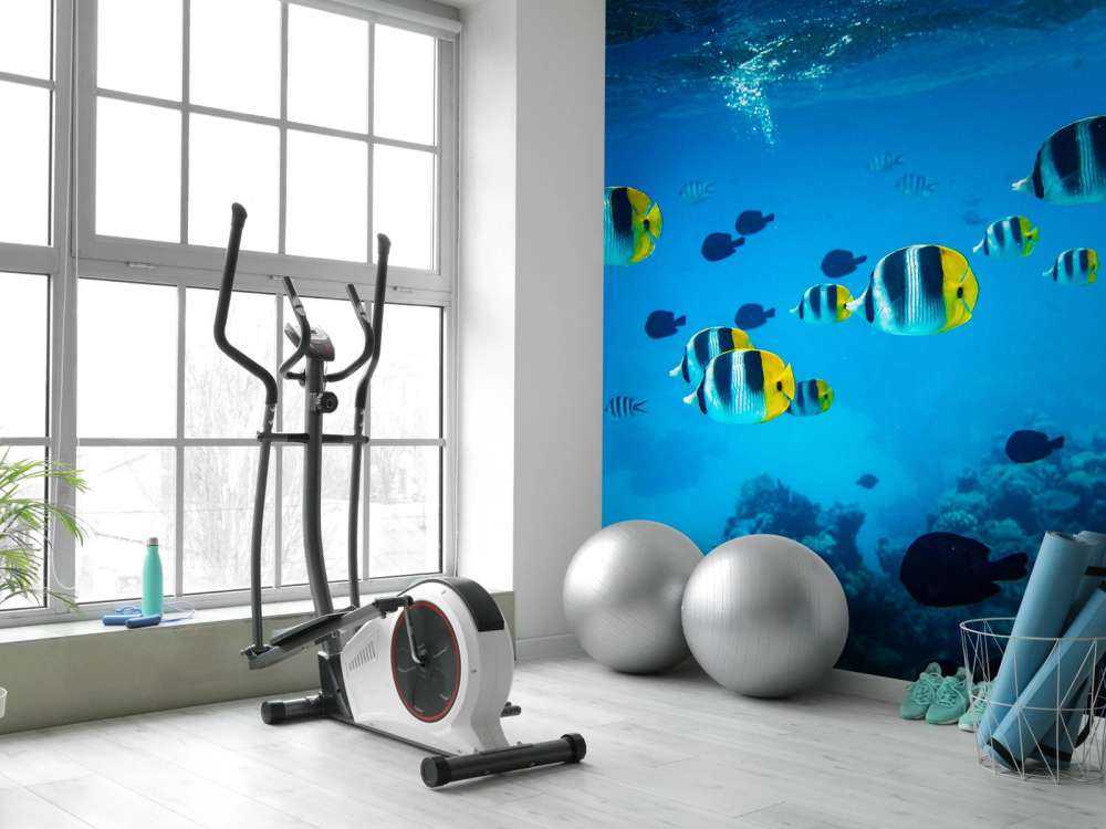 Poissons de récif tropicaux dans l'eau bleu clair