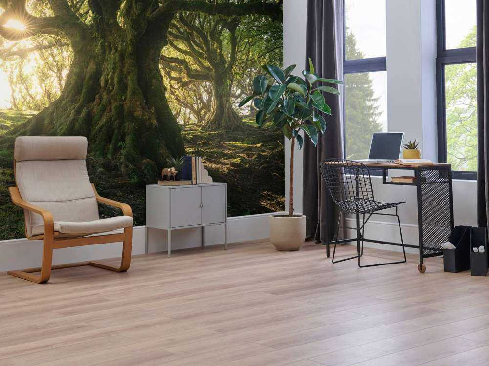 Forêt Enchantée au Soleil