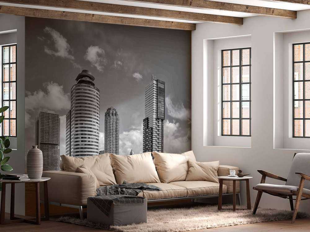 Contraste Noir-Blanc sur la Tête du Sud