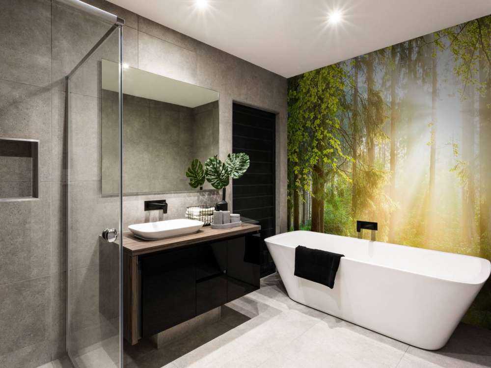 Paysage forestier au lever du soleil