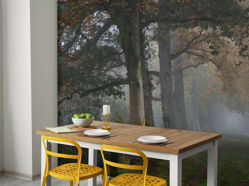 Allée avec des arbres dans le brouillard