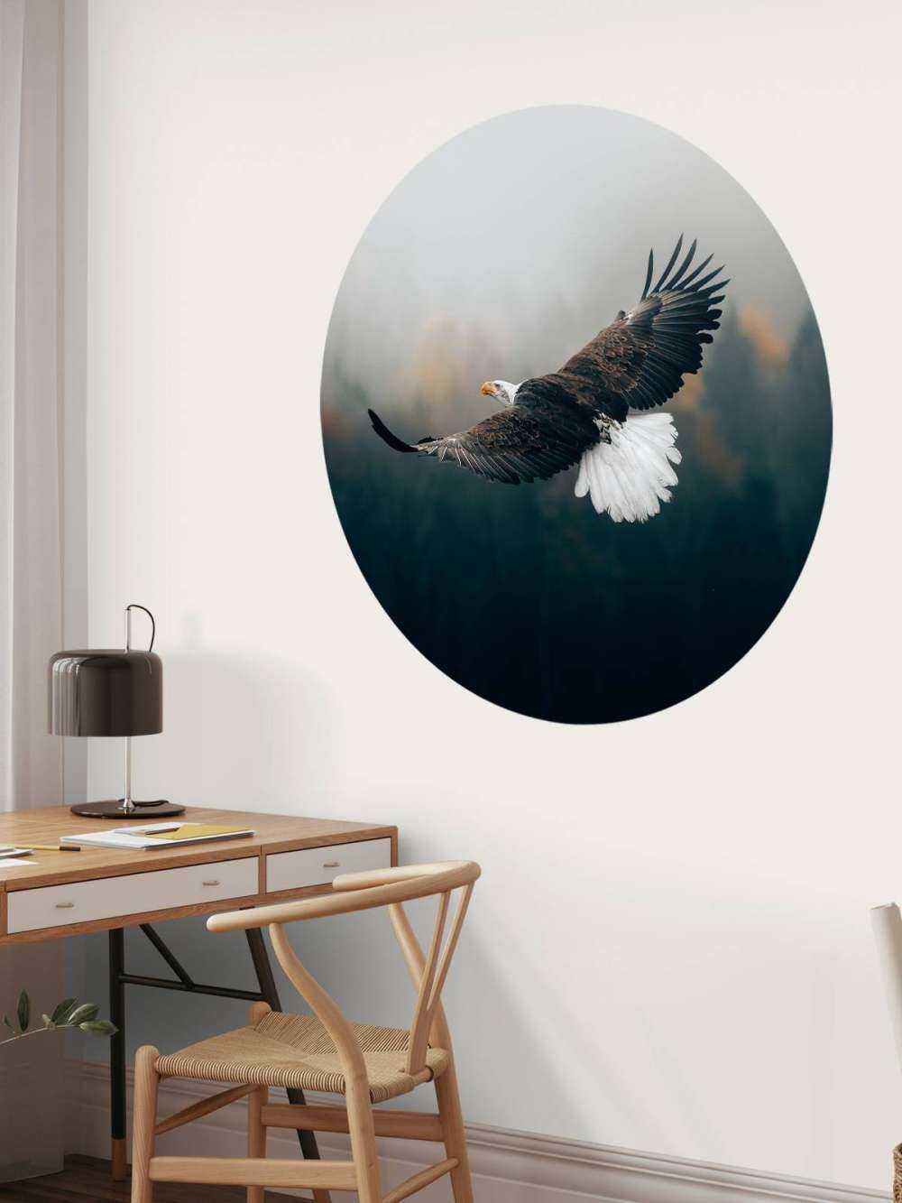 Pygargue à tête blanche au-dessus de la forêt