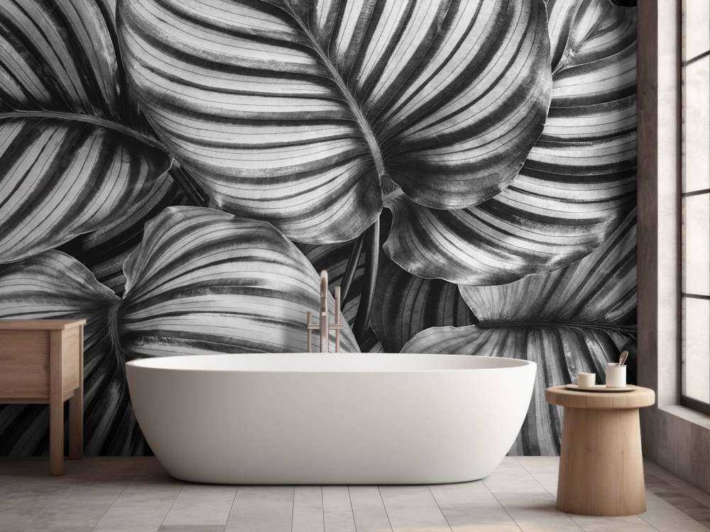 Plante à feuilles rayées