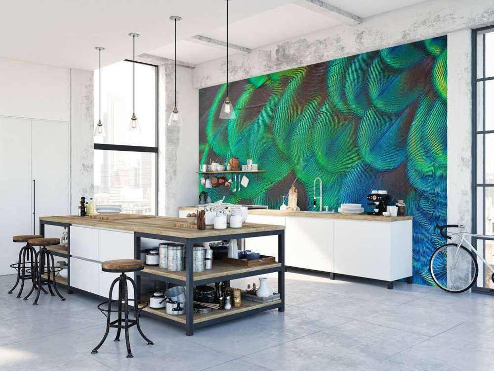 Gros plan sur des plumes de paon