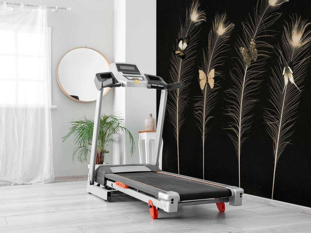 Différents papillons