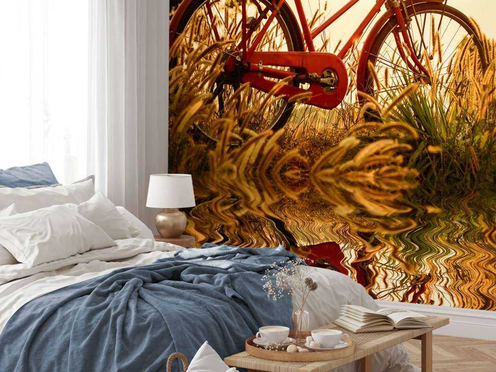 Vélo coucher du soleil