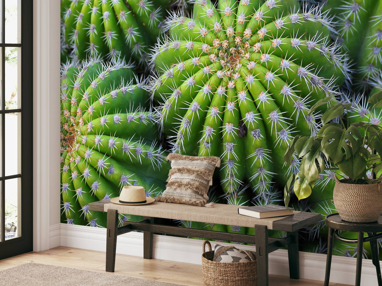 Cacti