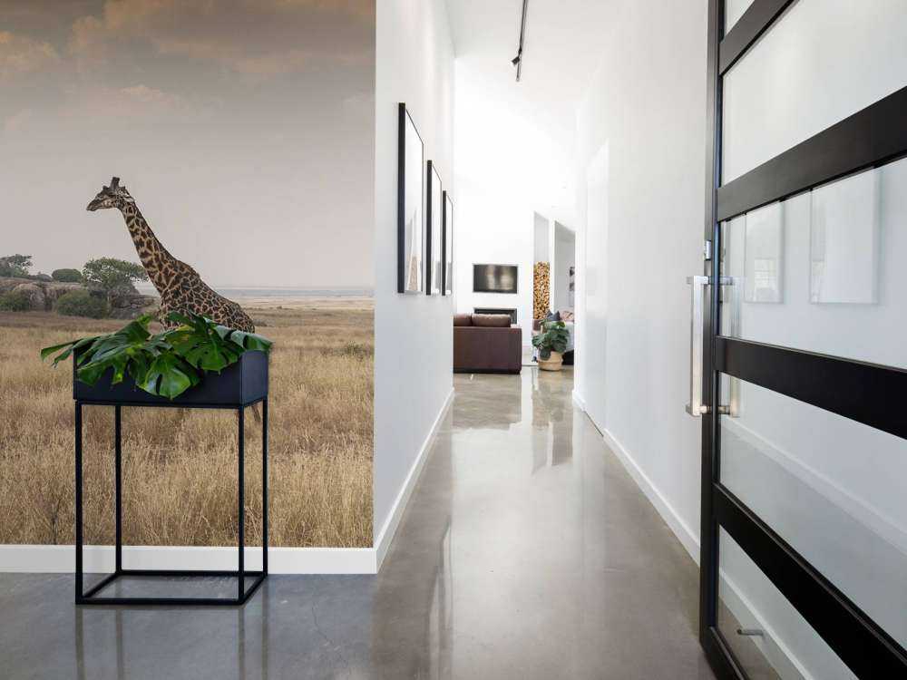 Girafe dans la savane